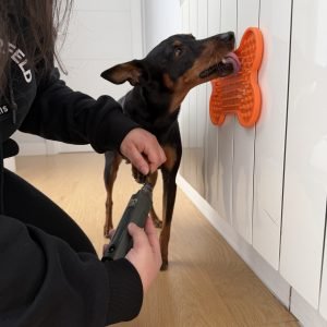 Cortar las uñas a un perro