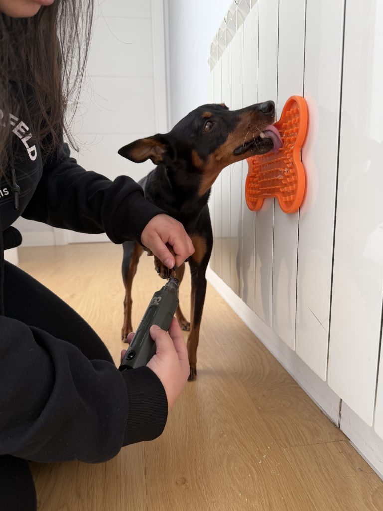 Cortar las uñas a un perro