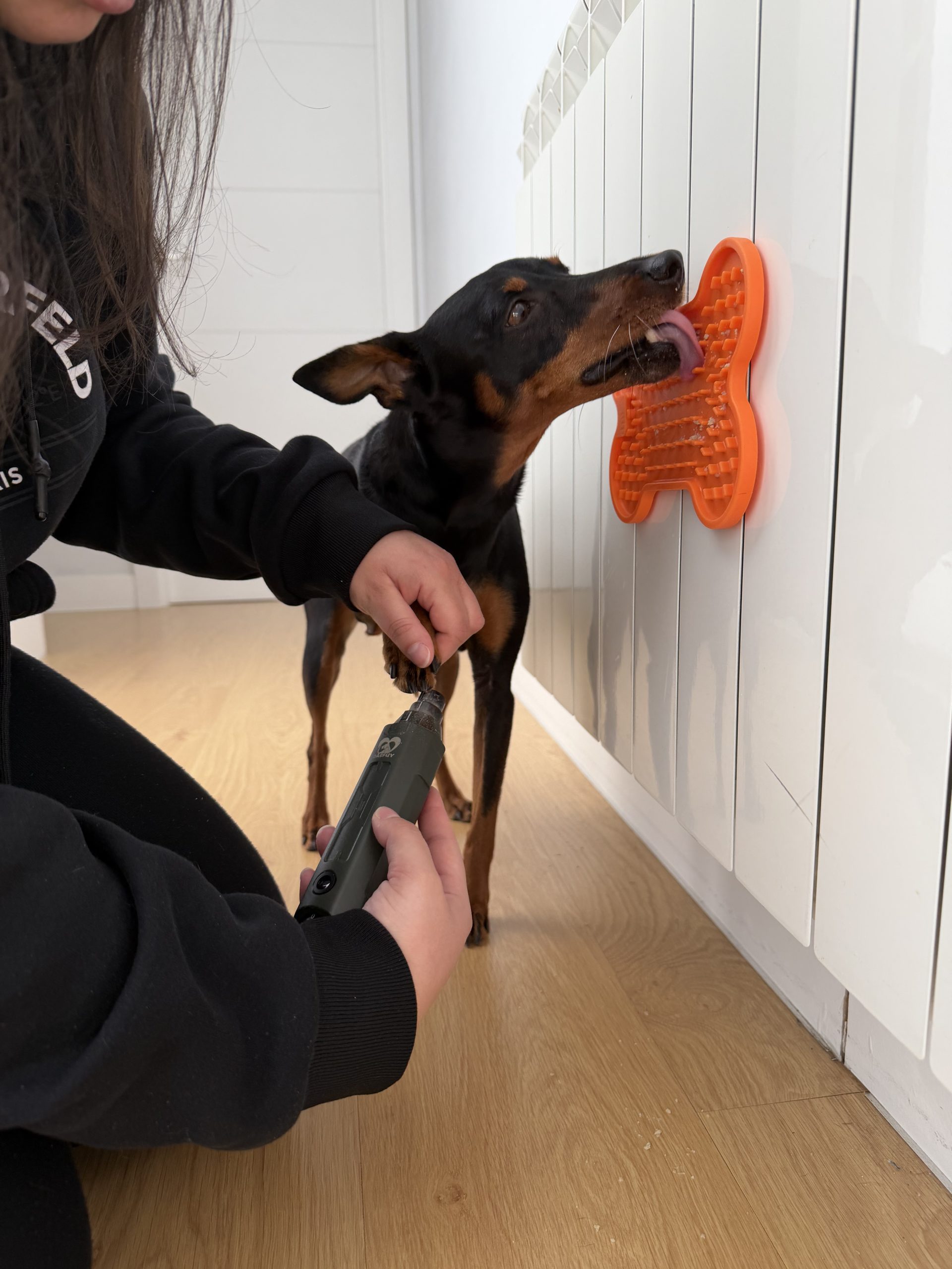 cortar las uñas a un perro