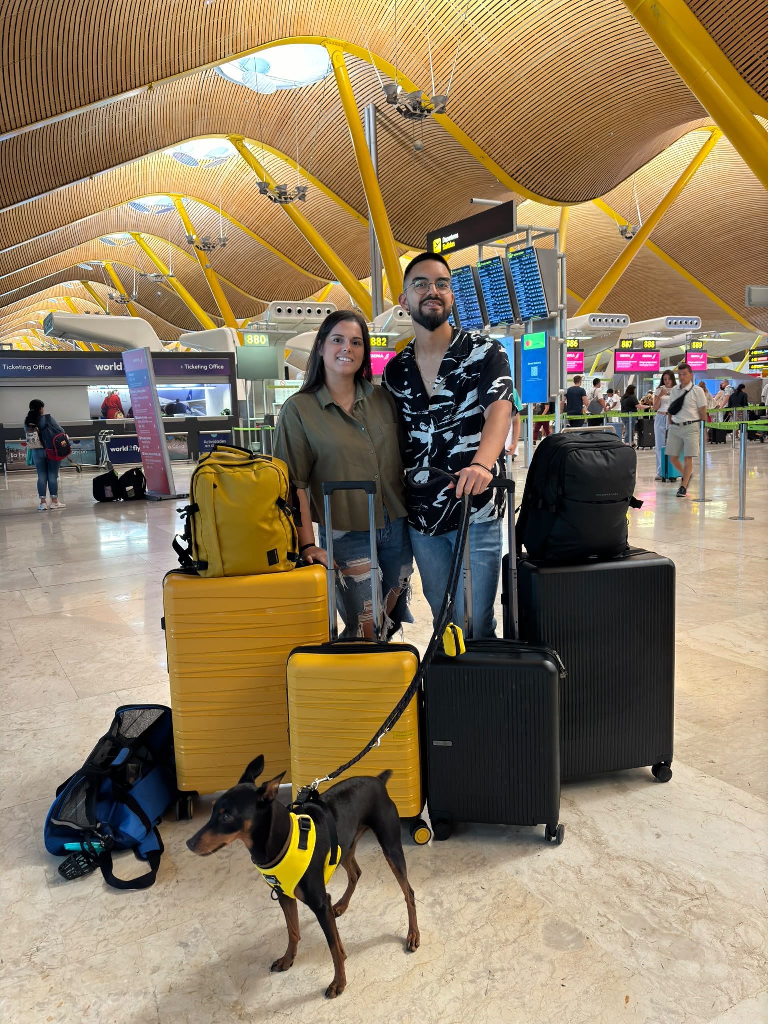 Guía para viajar con perro en avión | Todo lo que necesitas saber (2026) - Imagen 6