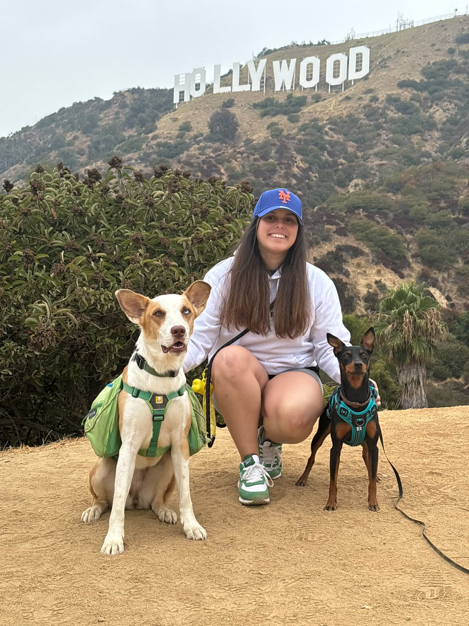 Arnold en una ruta de hiking en Los Ángeles con el cartel de Hollywood