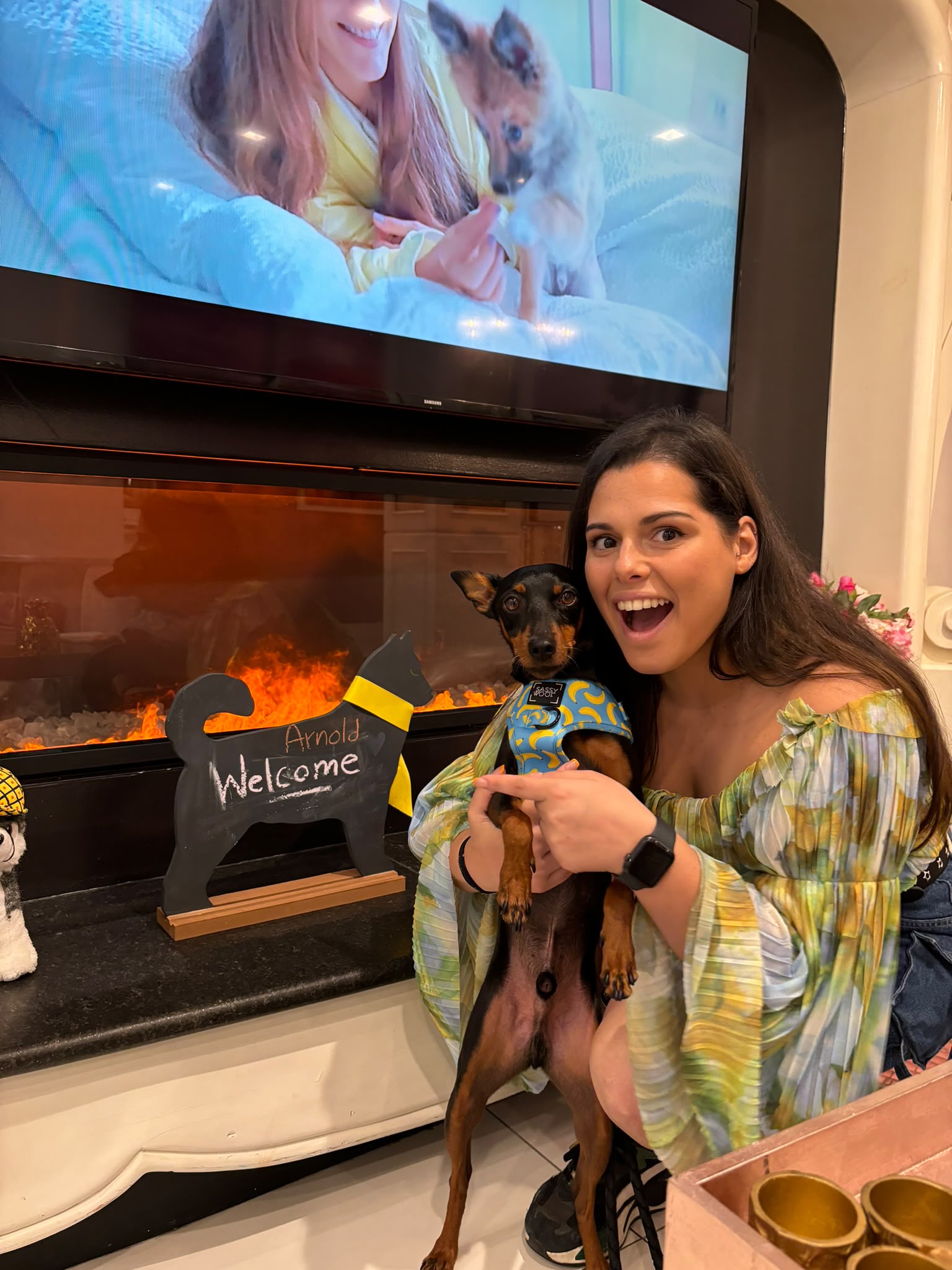 Colaboraciones para marcas pet friendly con The Mini Arnold