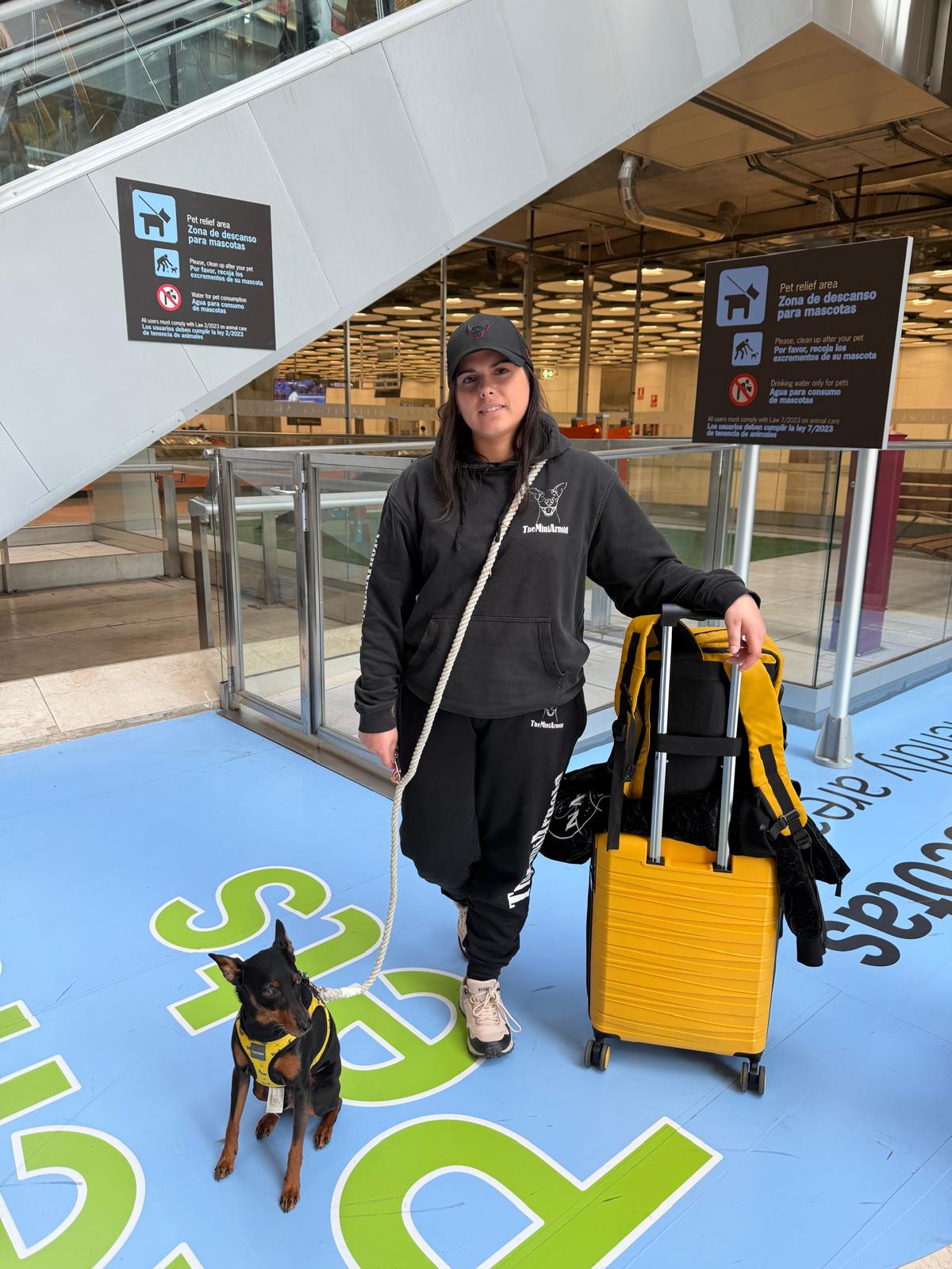 Guía para viajar con perro en avión | Todo lo que necesitas saber (2026) - Imagen 5