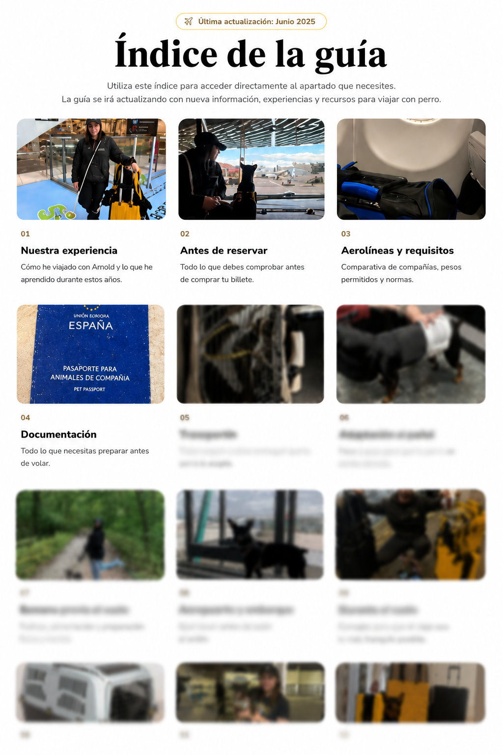 Guía para viajar con perro en avión | Todo lo que necesitas saber (2026) - Imagen 2