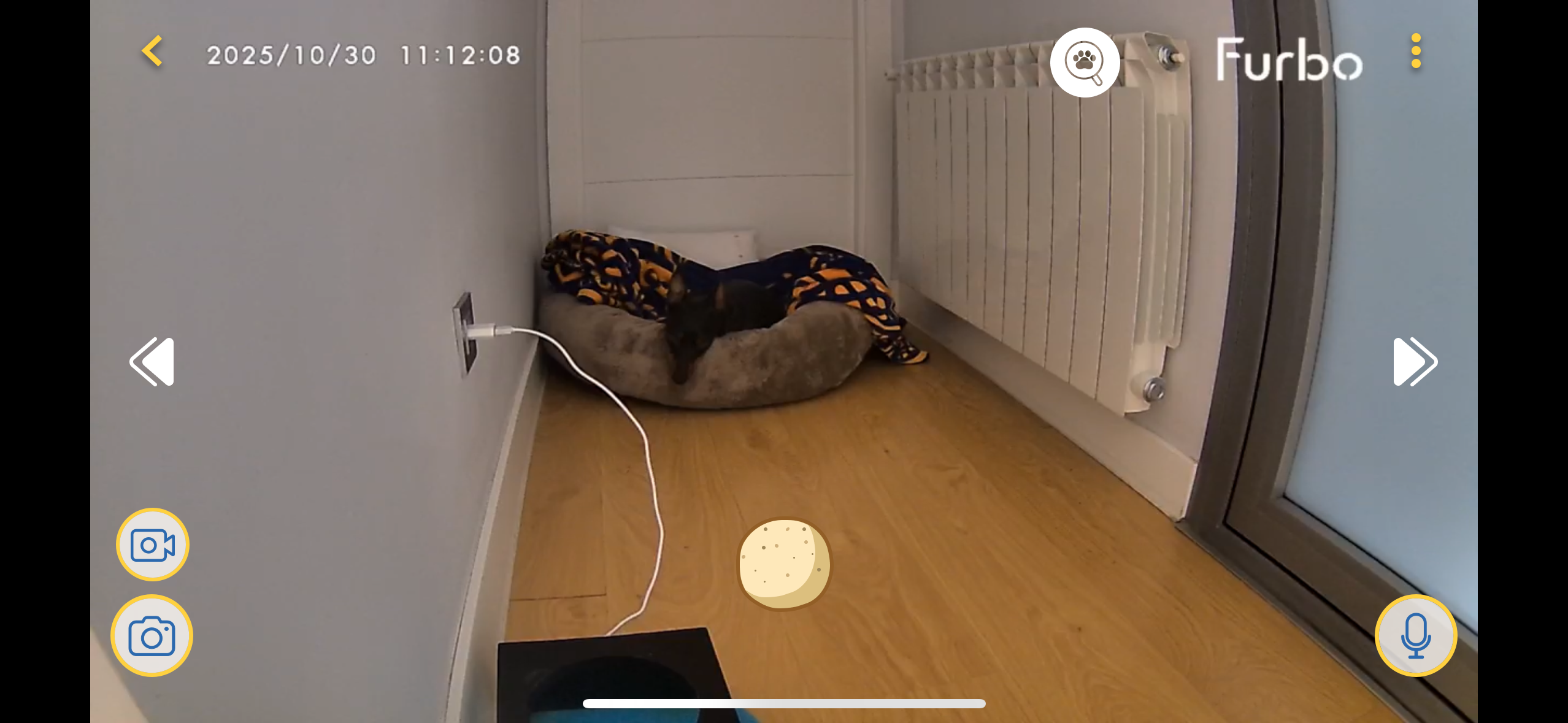 Arnold durmiendo en su cama
