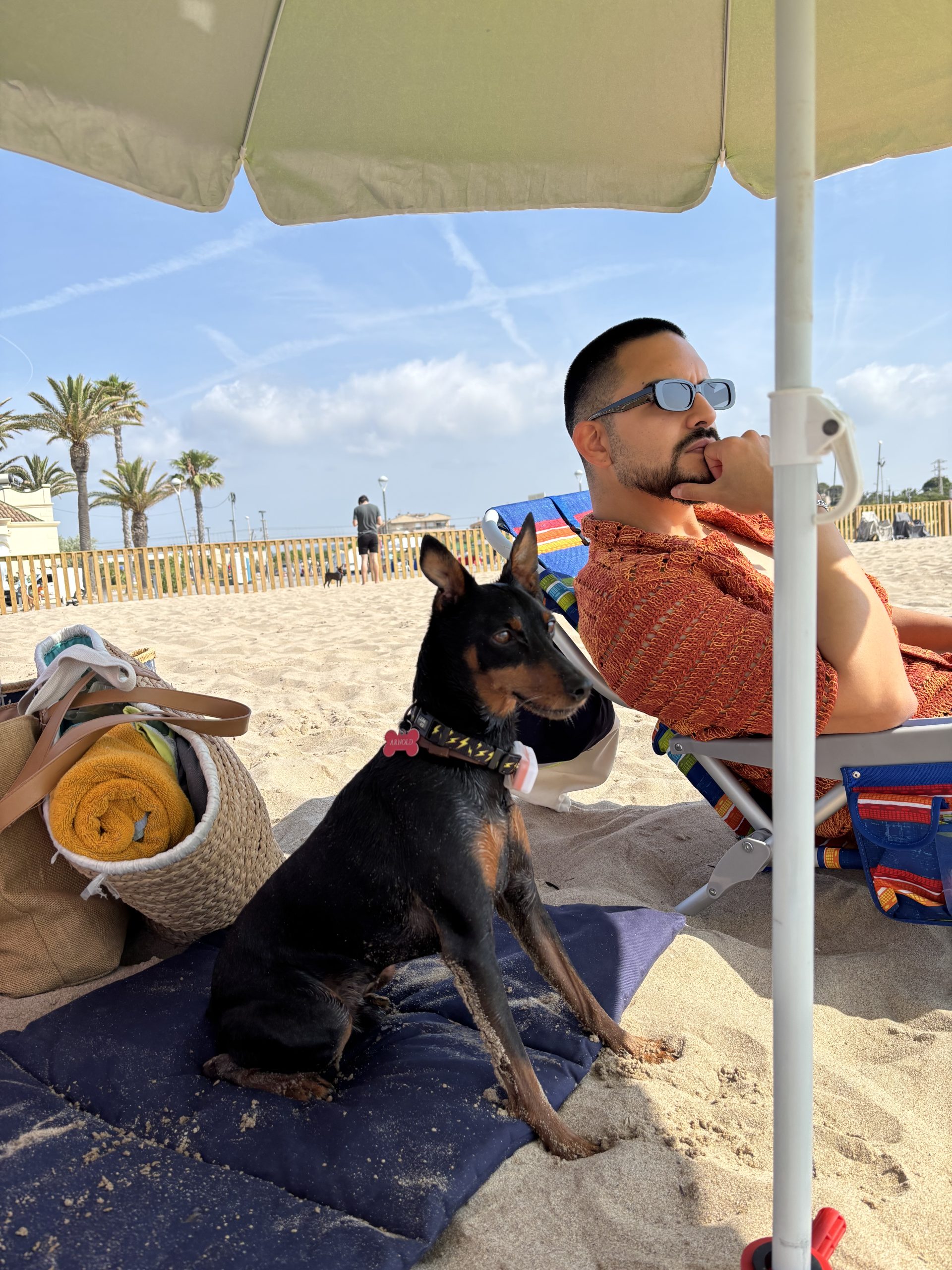 Viajar con perro a playas dog friendly en España