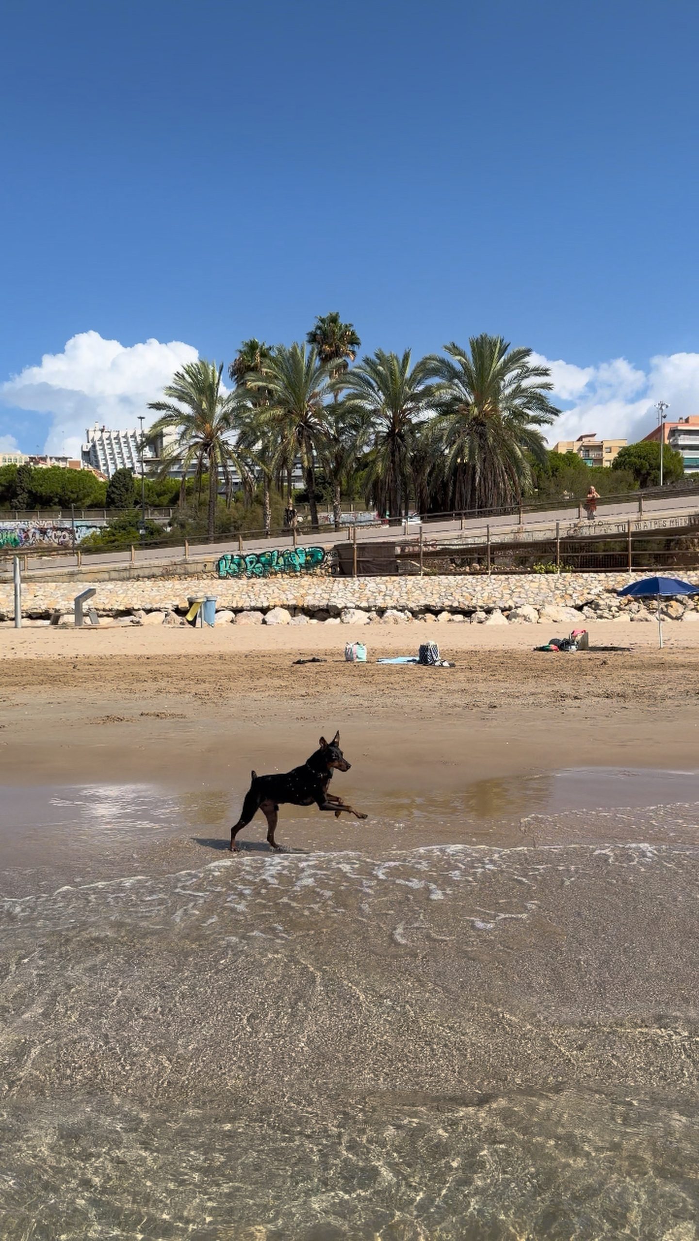 Playa Canina del Miracle en Tarragona